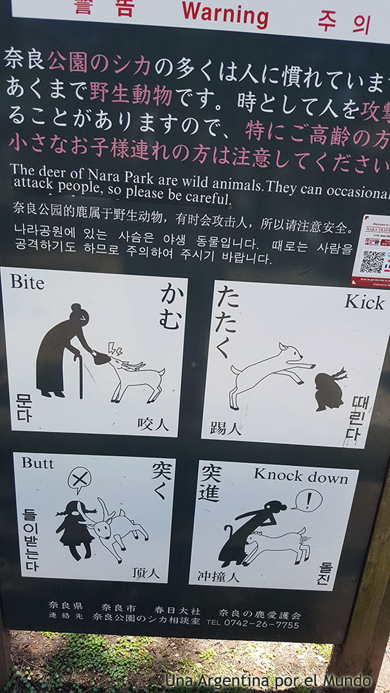 Cuidado con los ciervos