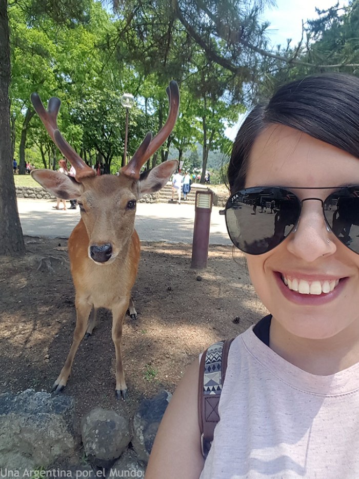 Selfie con ciervos
