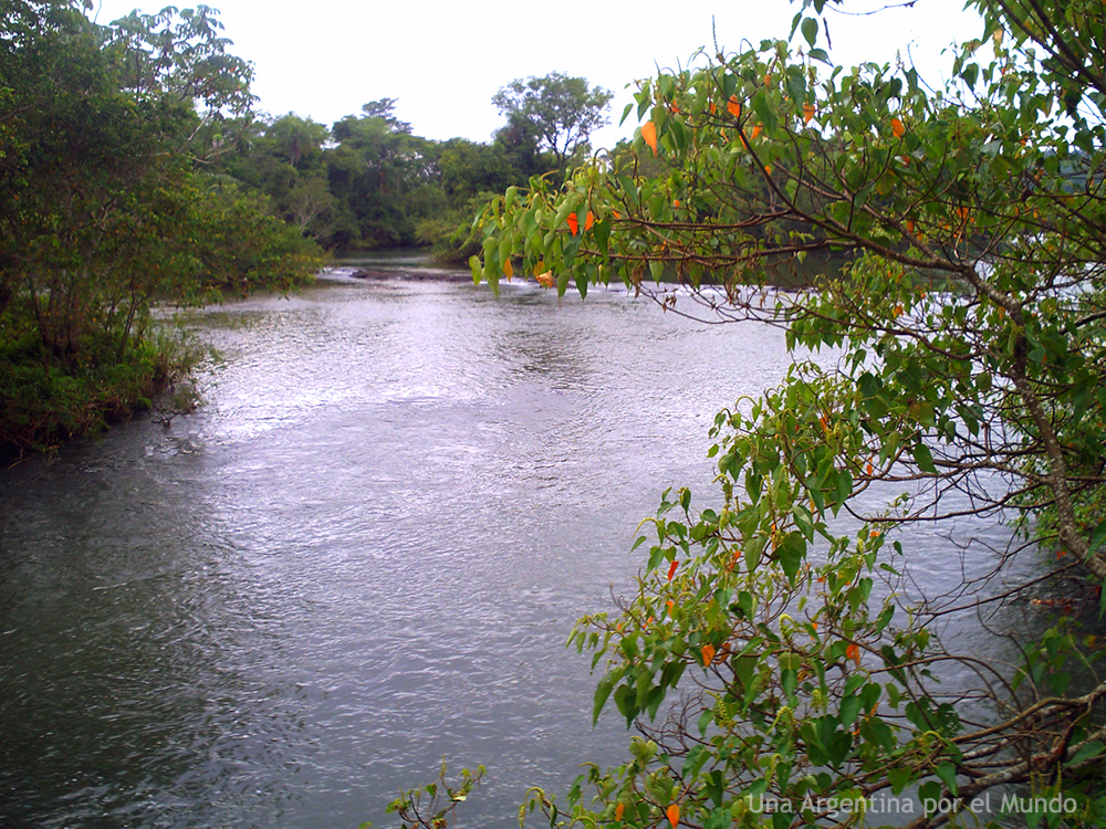 Rio Iguazu Parque Nacional Iguazu