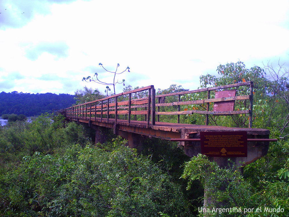 Pasarelas Parque Nacional Iguazu
